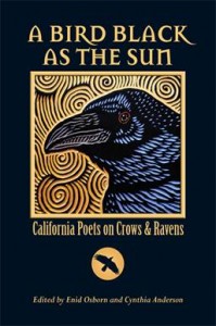 a bird black as the sun