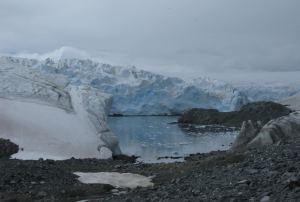 The Cove on Old Palmer Island
